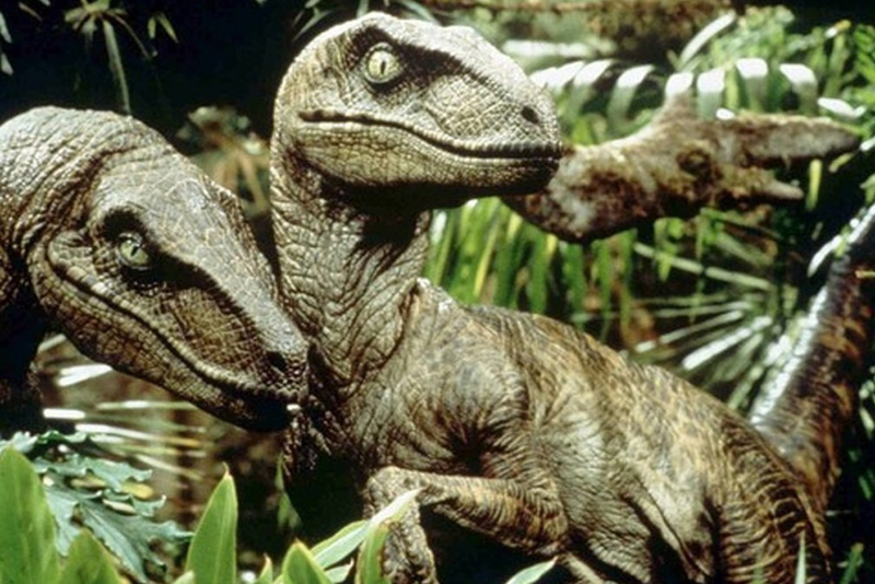 Illustration for article titled 10 Reasons The Velociraptors Are The True Stars of The Jurassic Trilogy